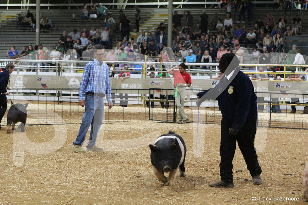 swine1065