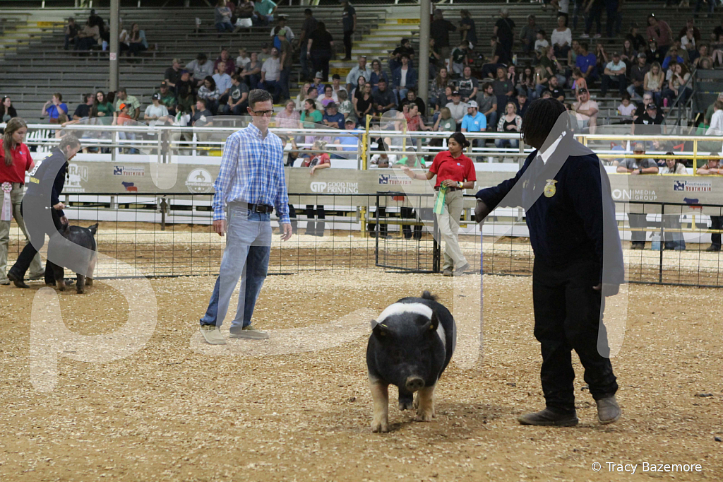 swine1066