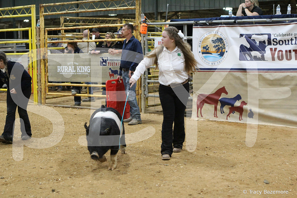 swine1067