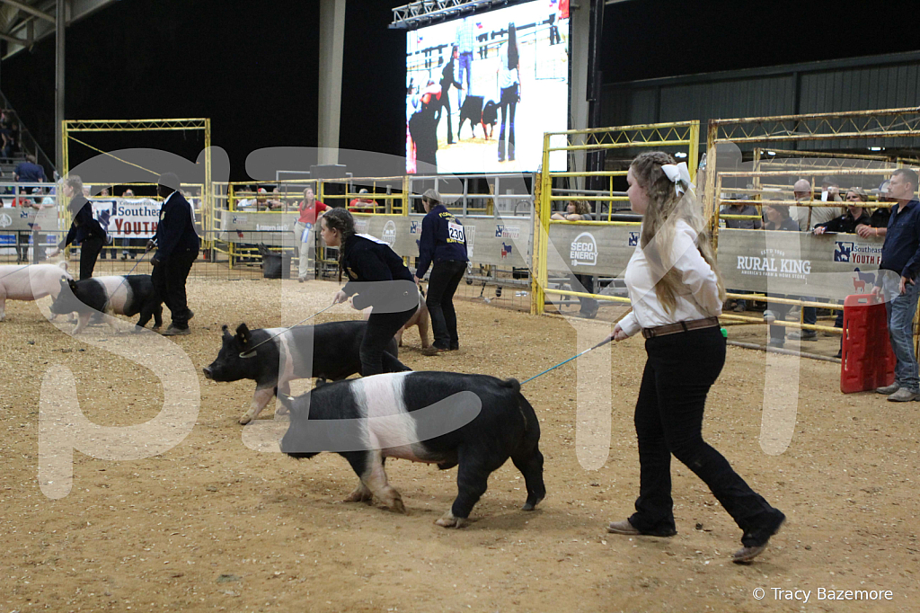 swine1069