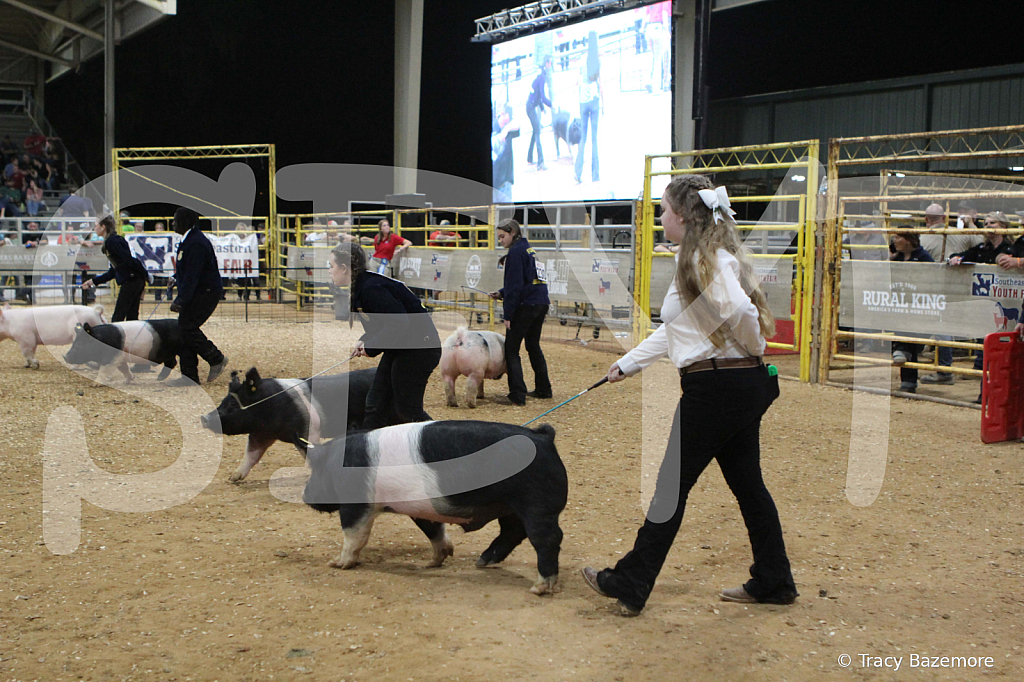 swine1070