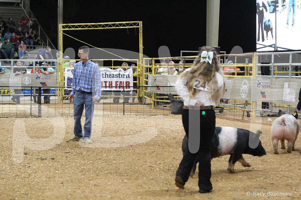 swine1072