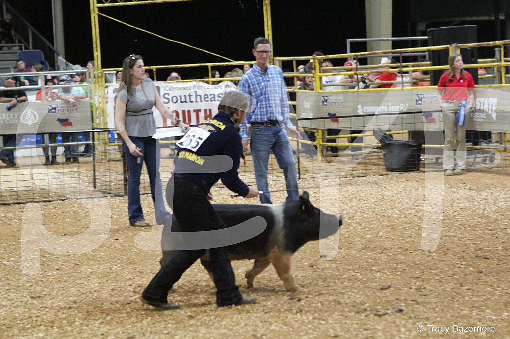 swine1076