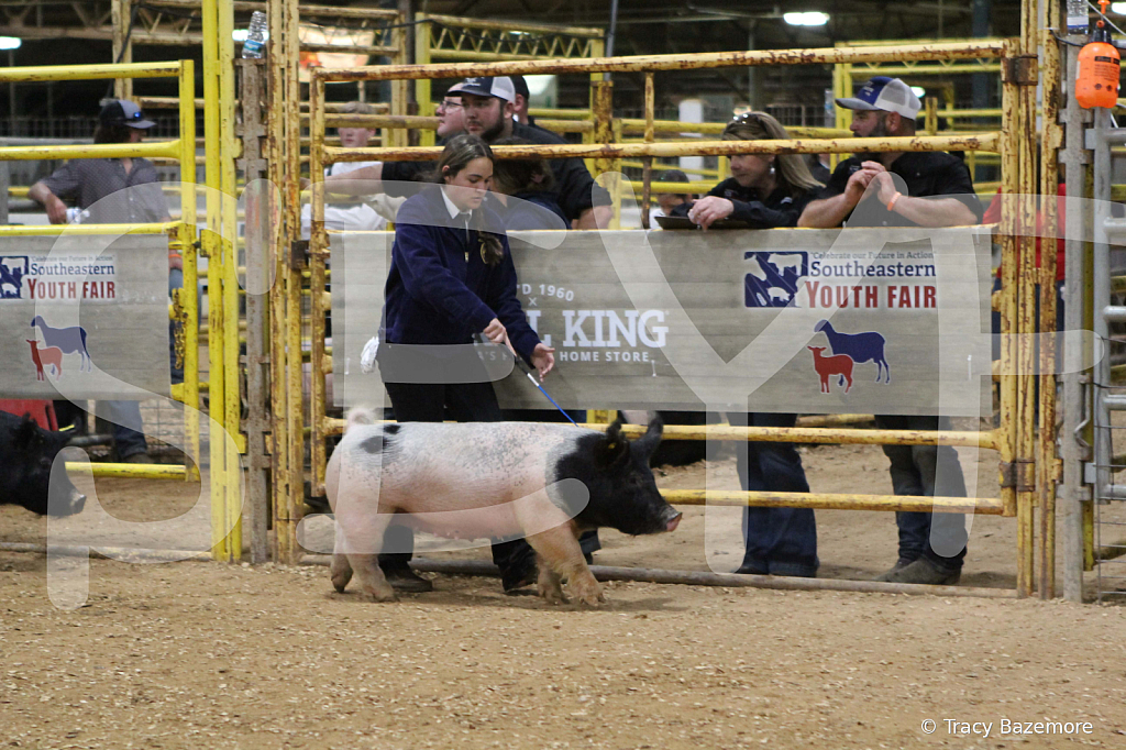 swine1077