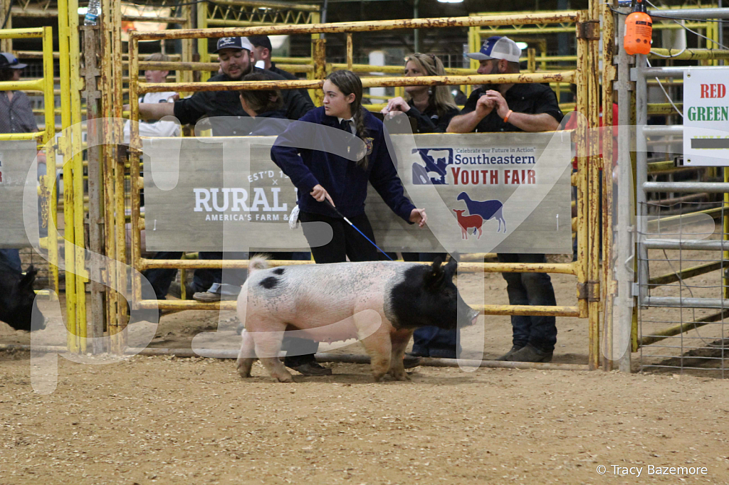 swine1078