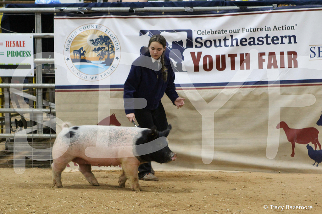 swine1080