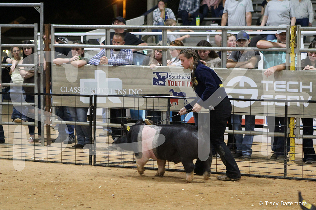 swine1084