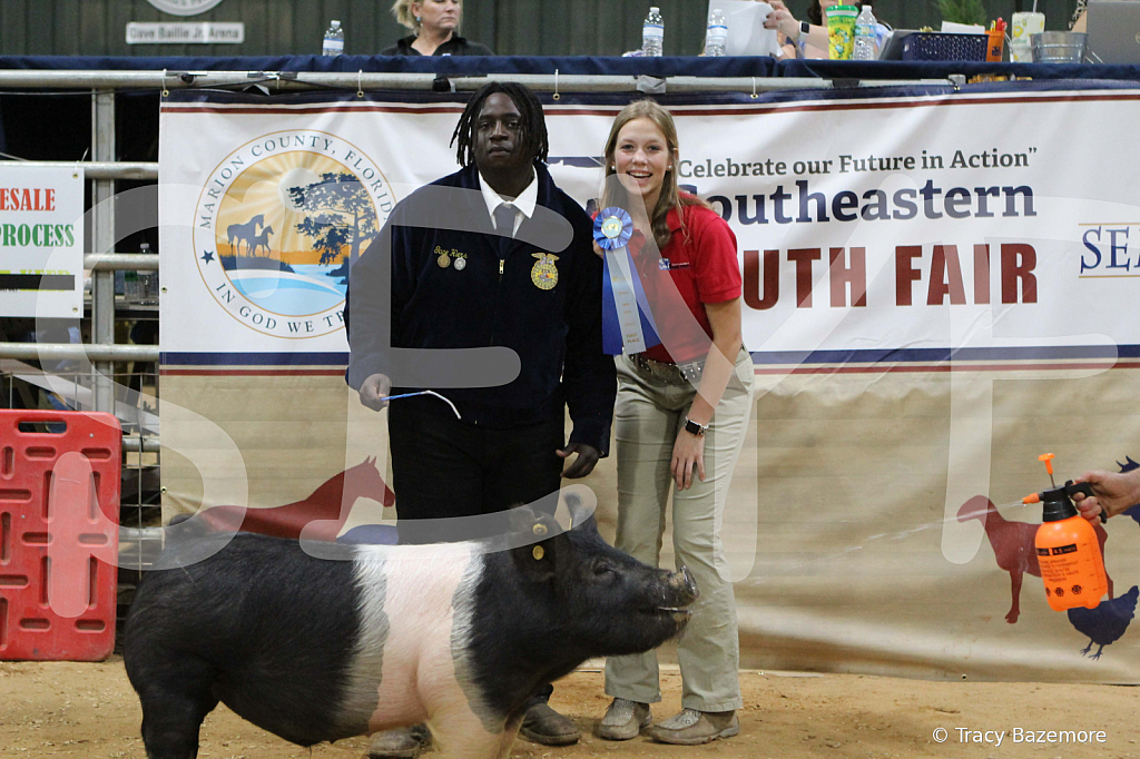 swine1085