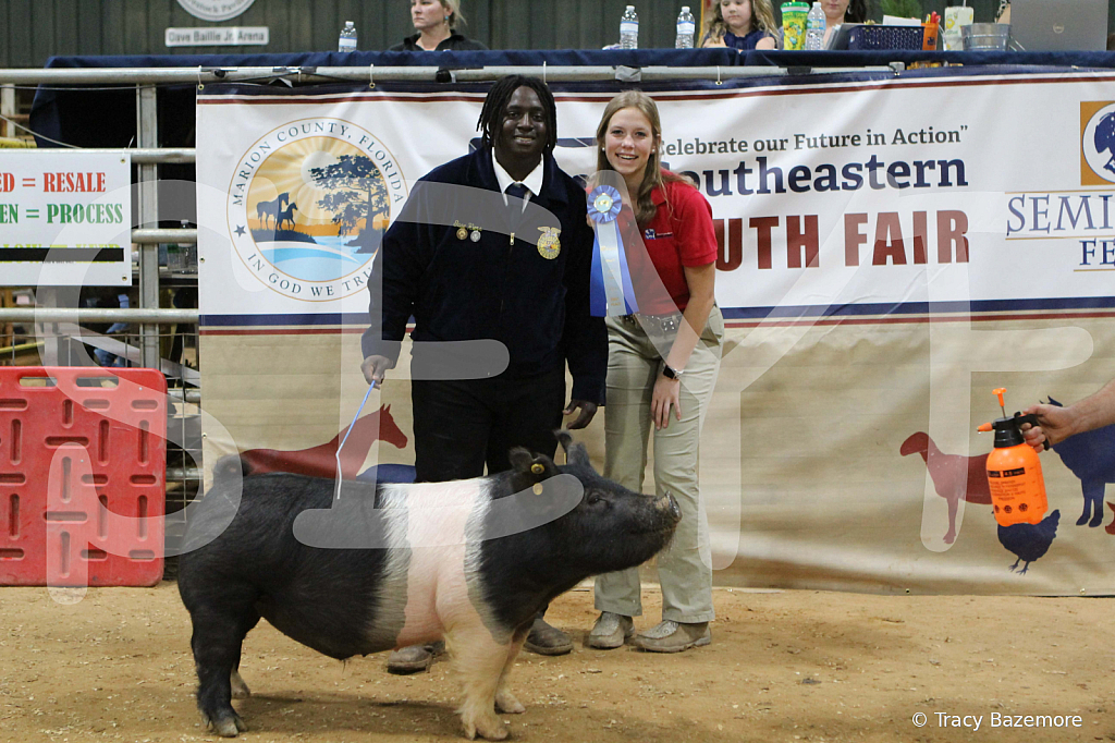 swine1086