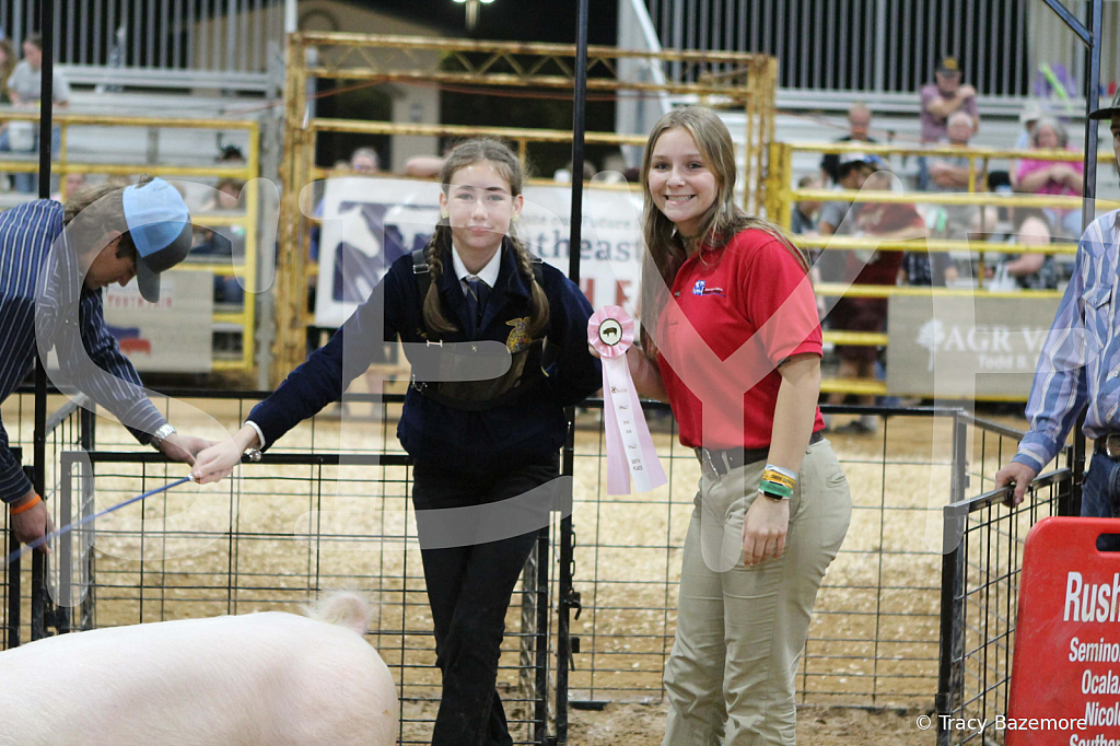 swine1091