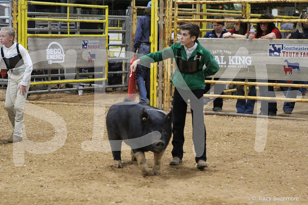 swine1093