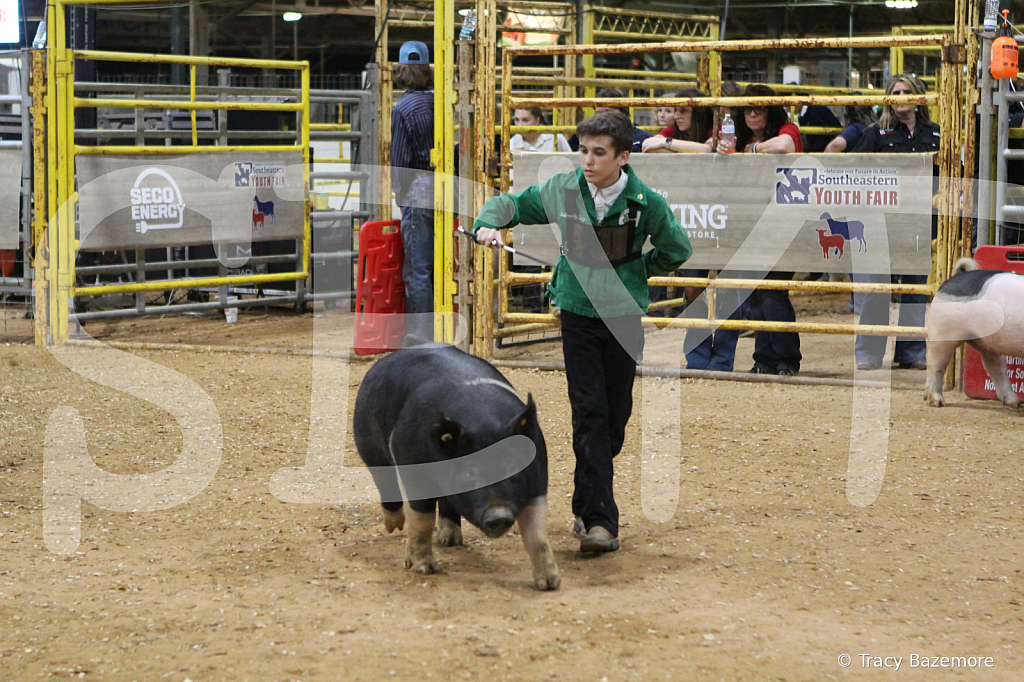 swine1094