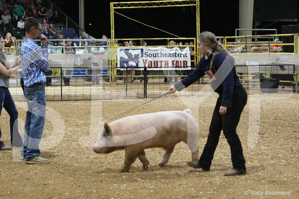 swine1096