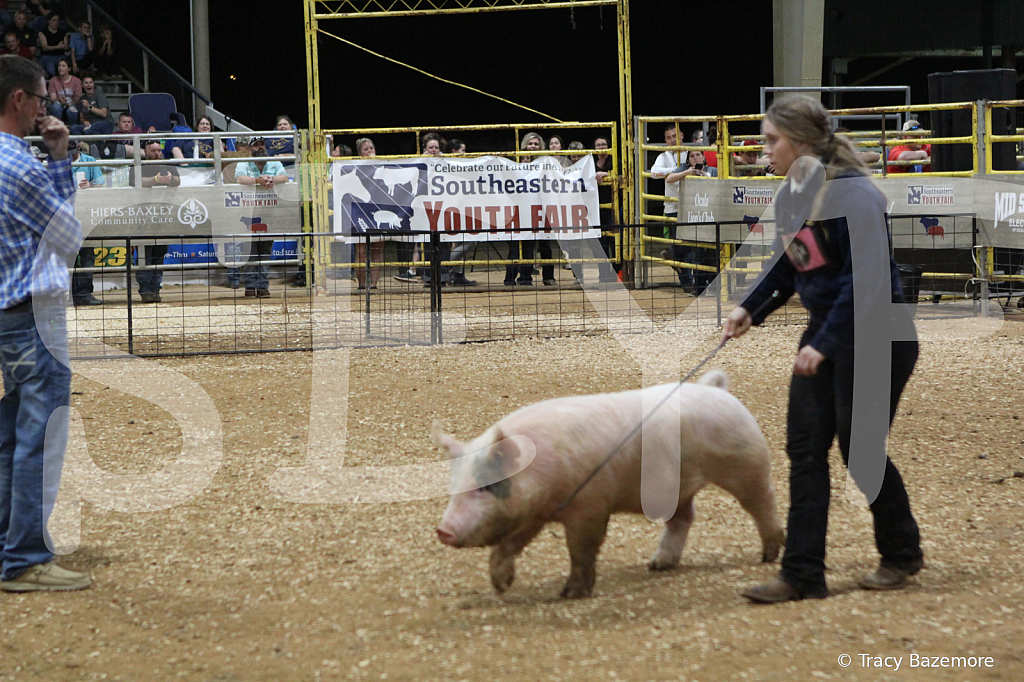 swine1095