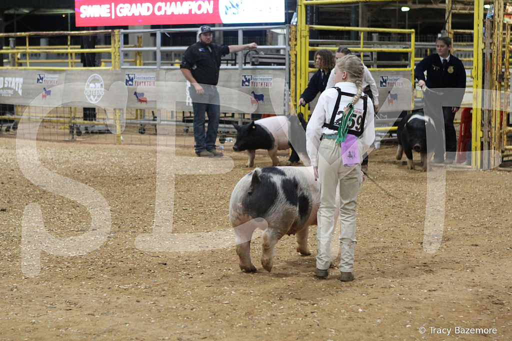 swine1097
