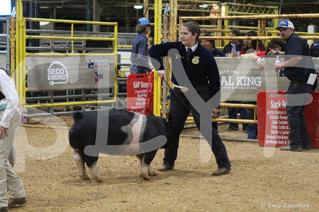 swine1099
