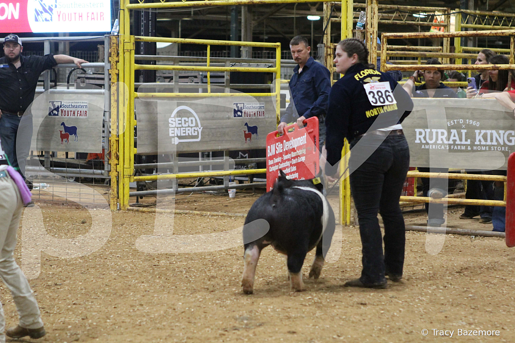 swine1100