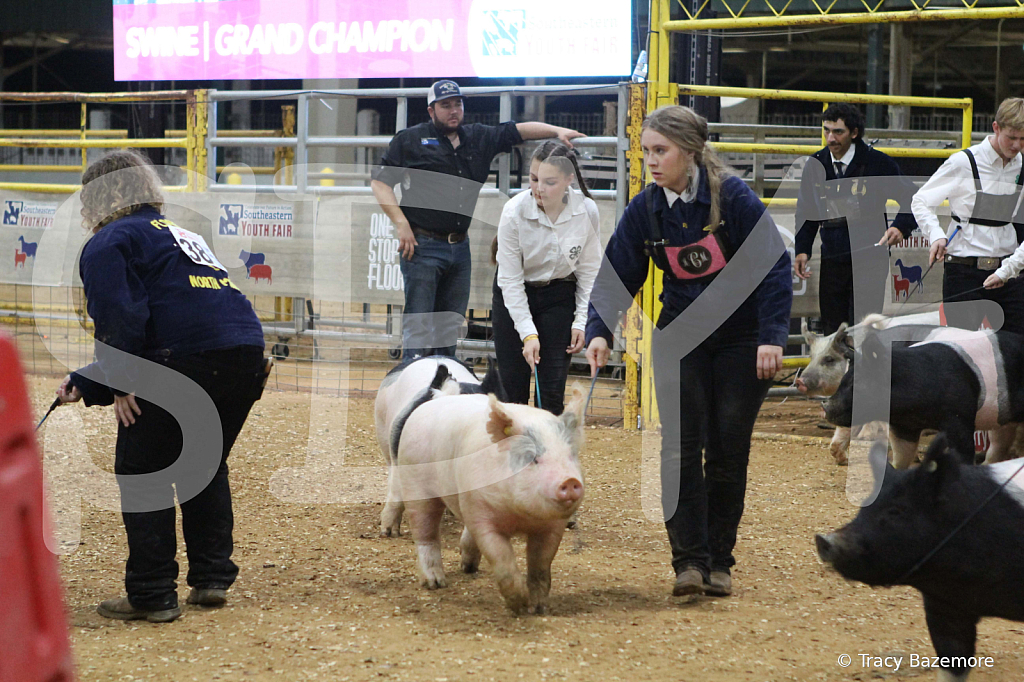 swine1103