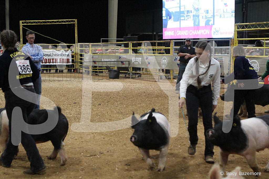 swine1107