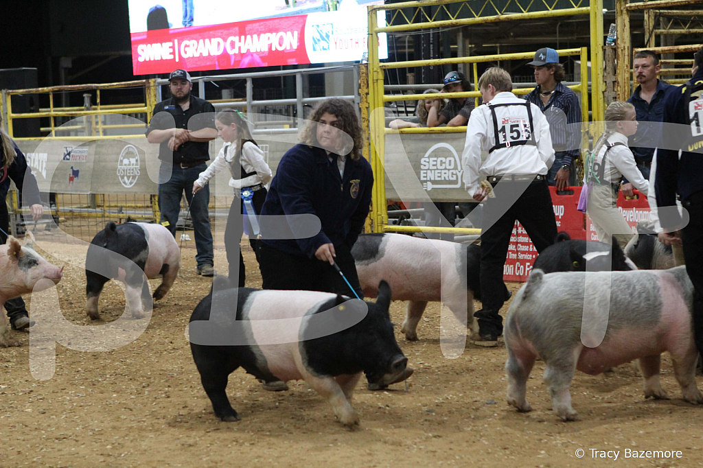 swine1110