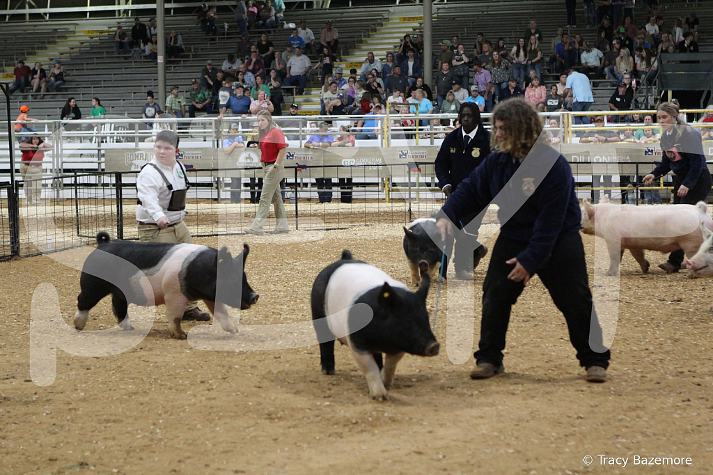 swine1111
