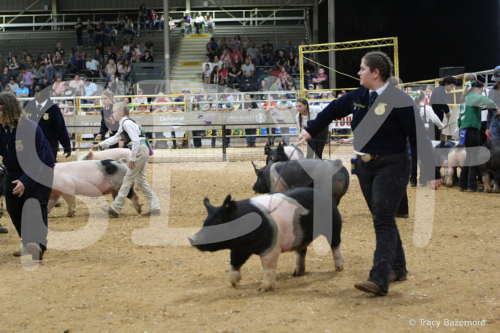 swine1112
