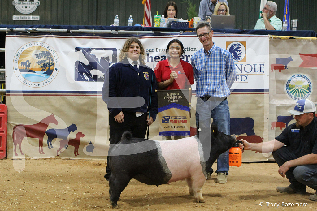 swine1117