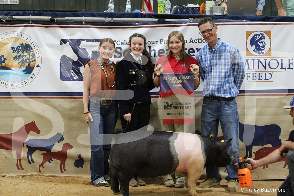 swine1118