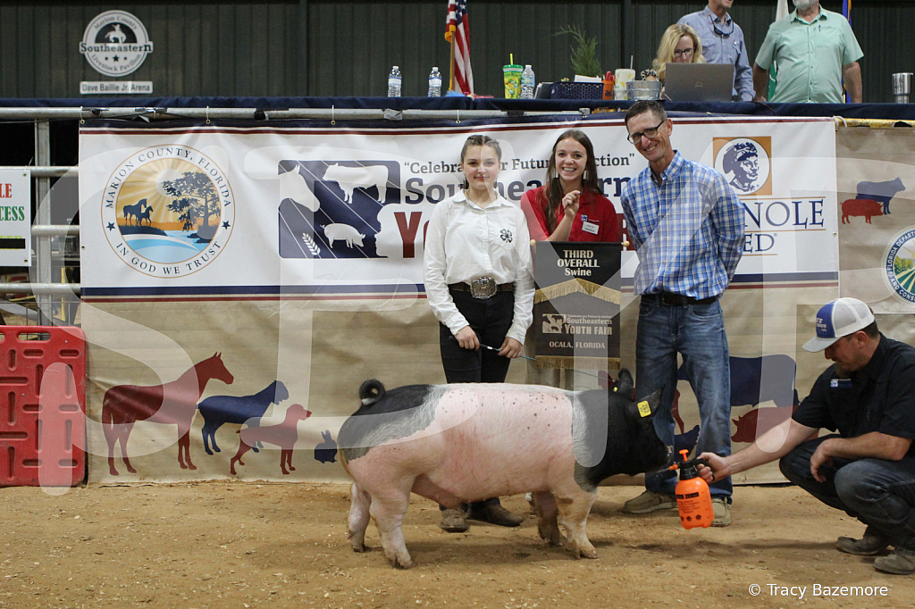 swine1122