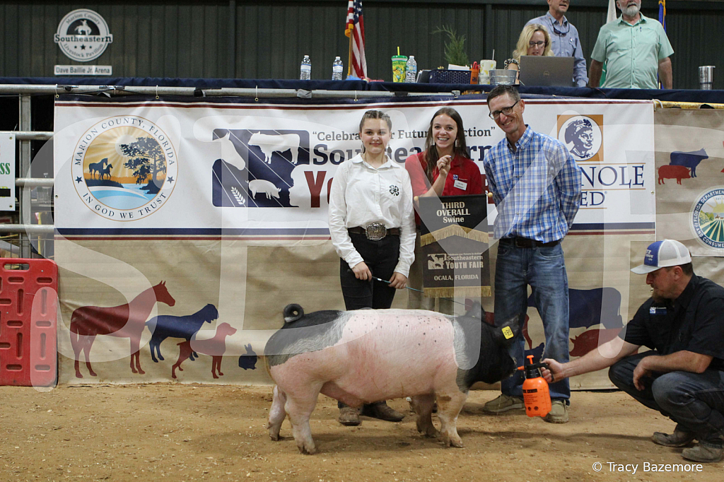 swine1123