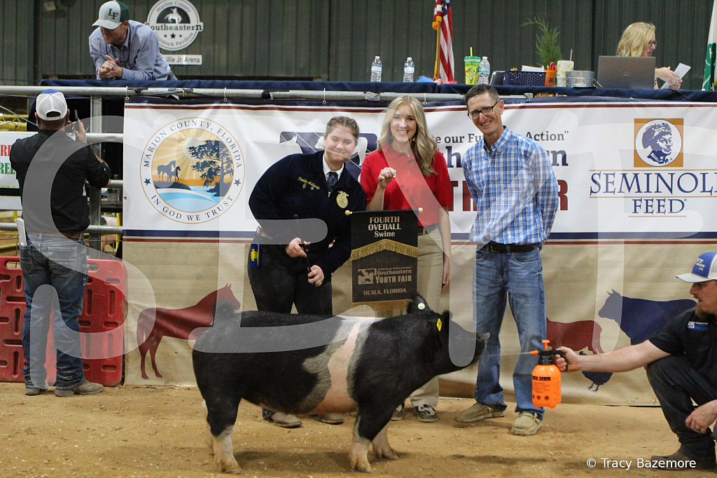 swine1124