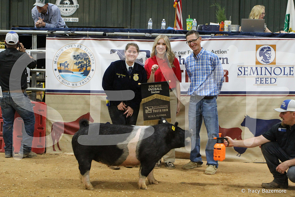 swine1125