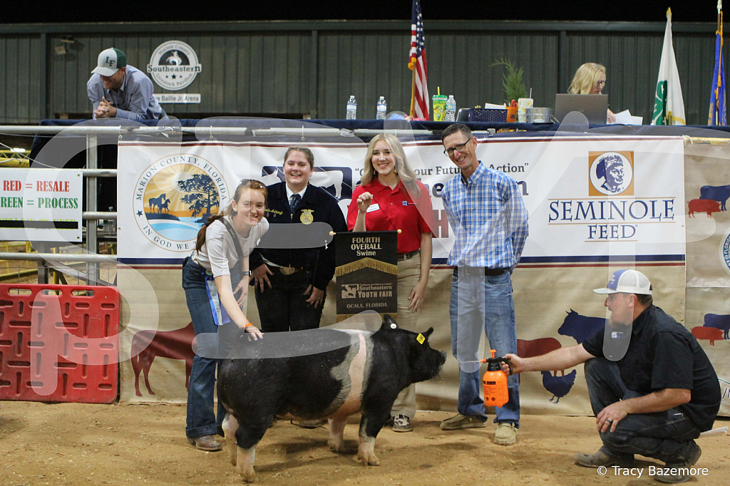 swine1126