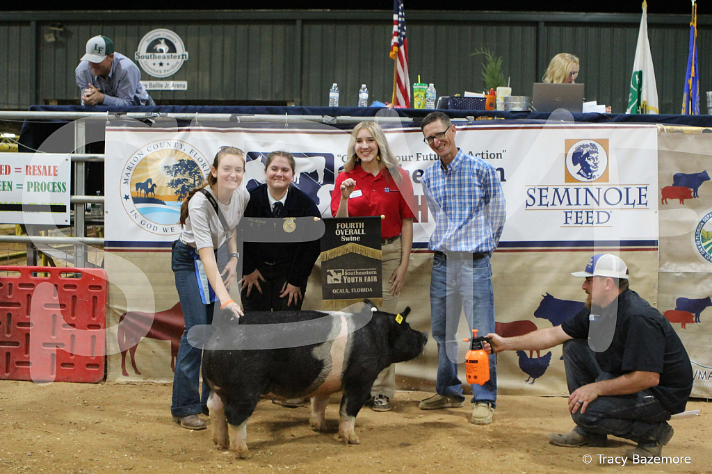swine1127