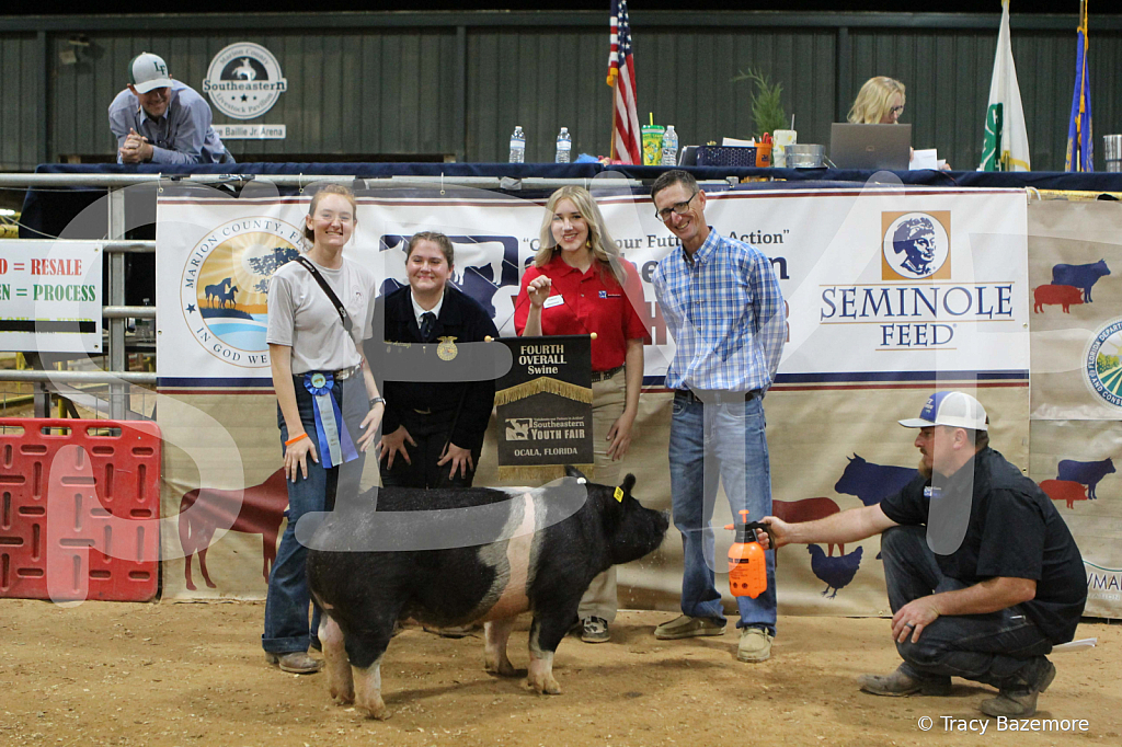 swine1128