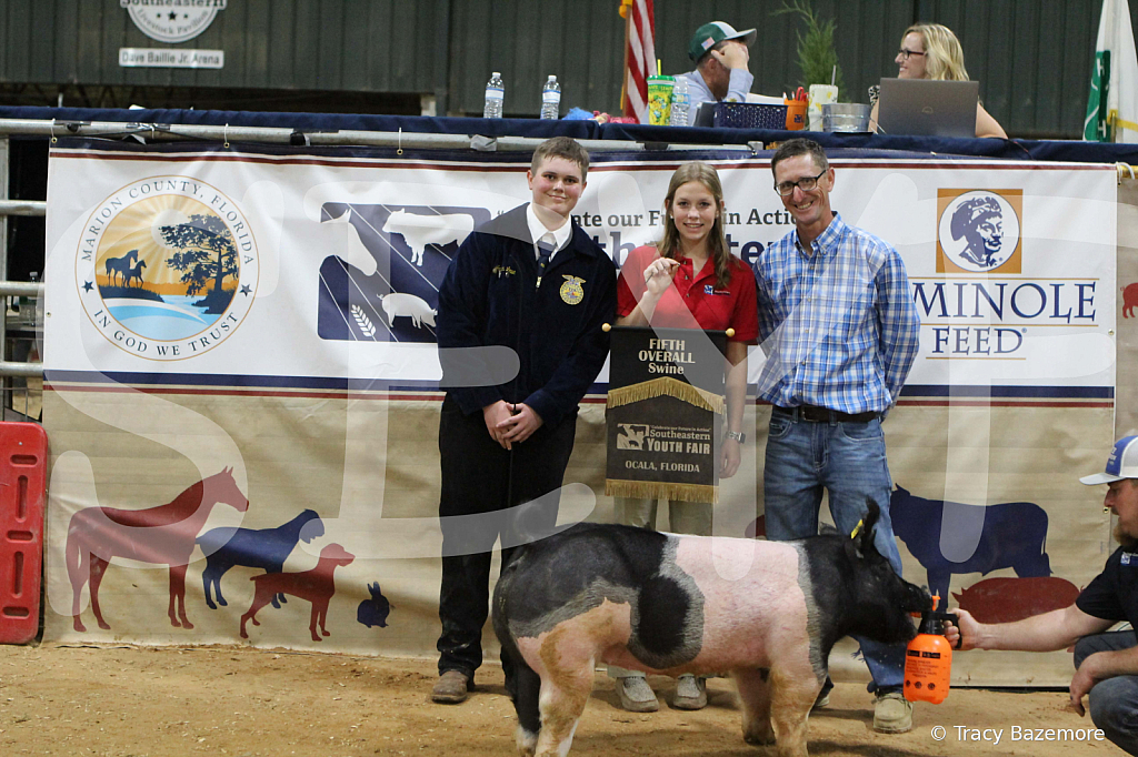 swine1129