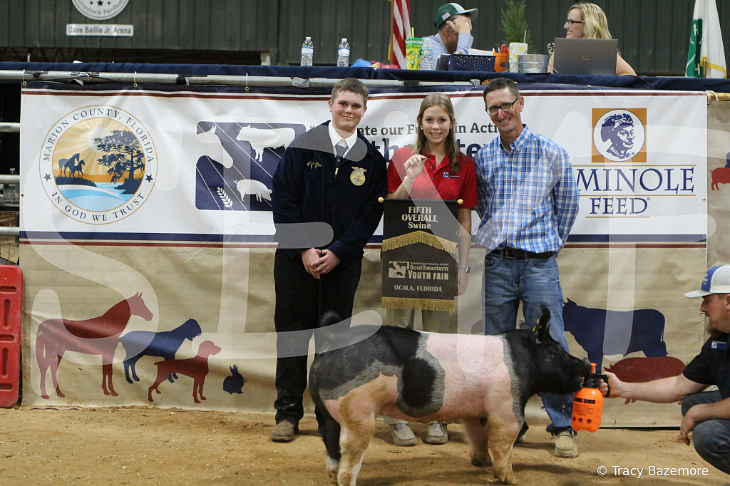 swine1130