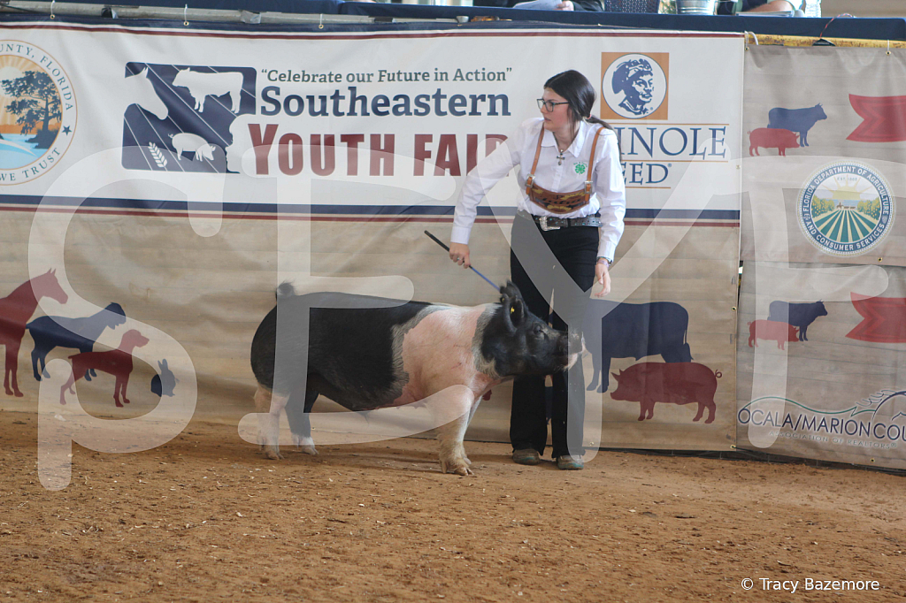 swine9420