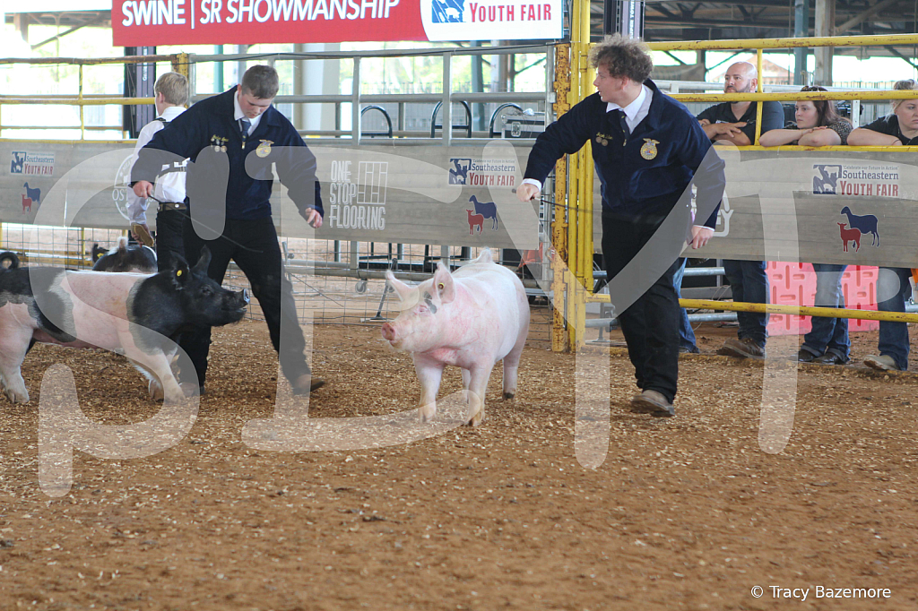 swine9421