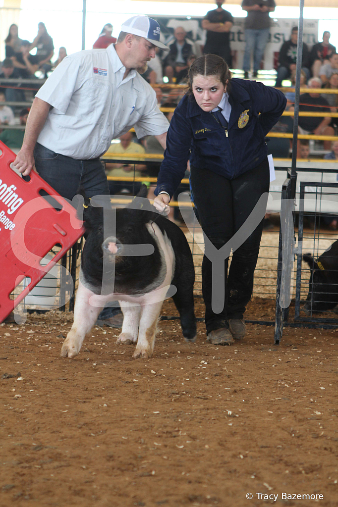 swine9422