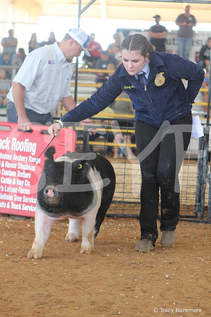 swine9423