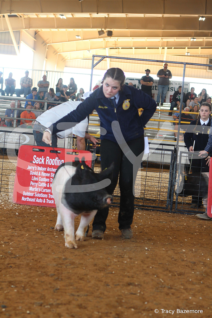swine9424