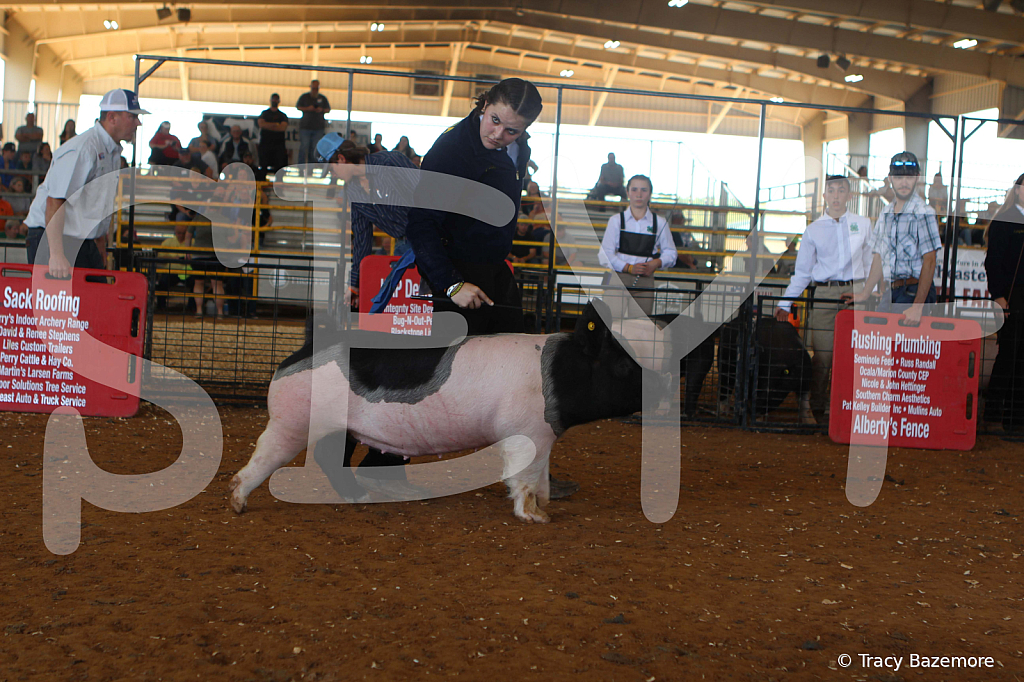 swine9425
