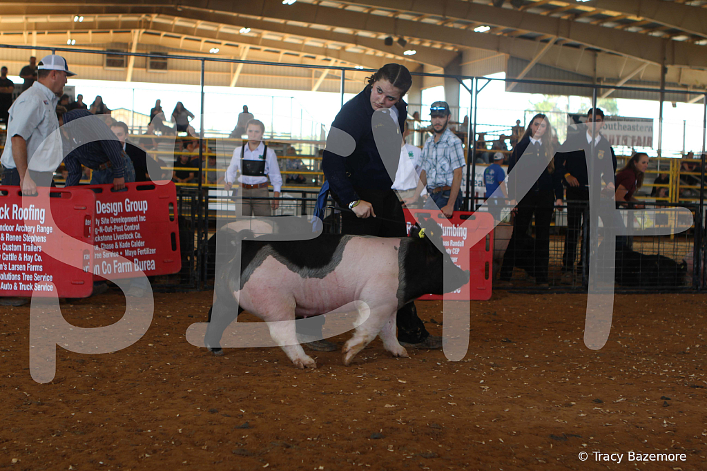 swine9426