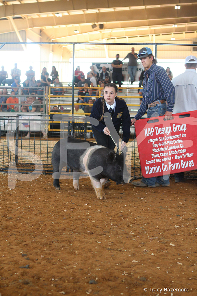swine9427