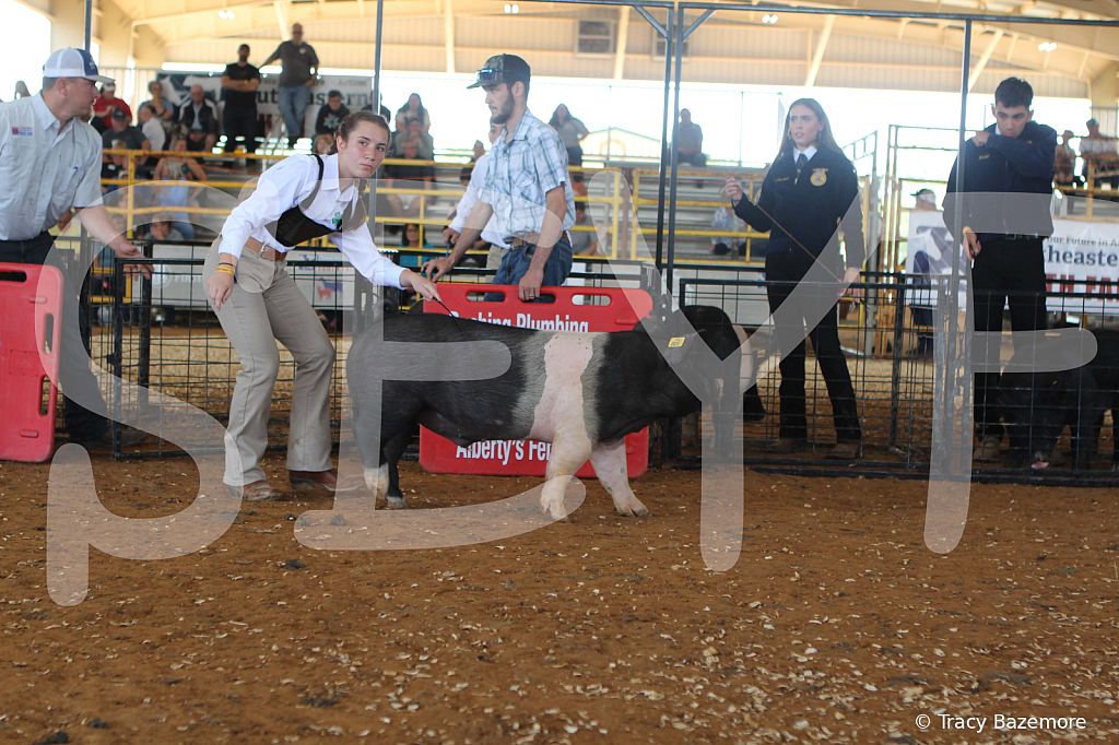 swine9432