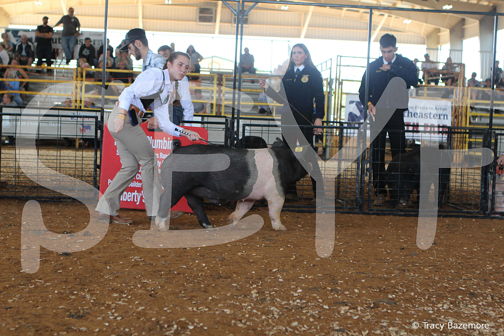 swine9433