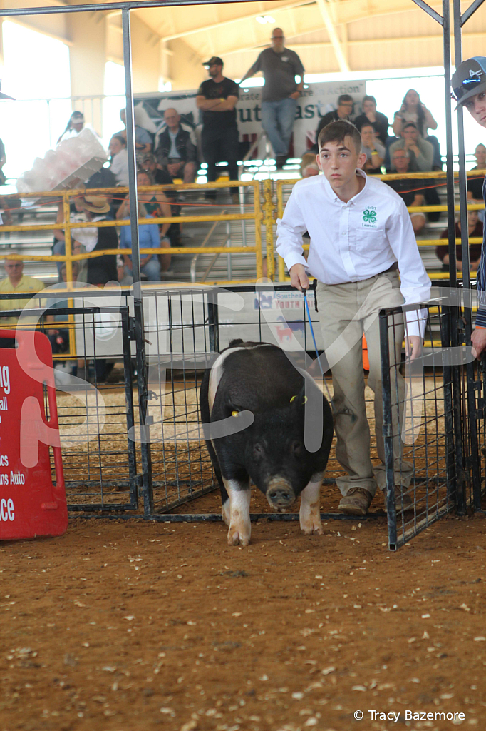swine9434