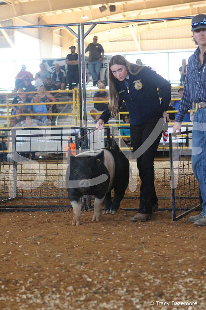 swine9440
