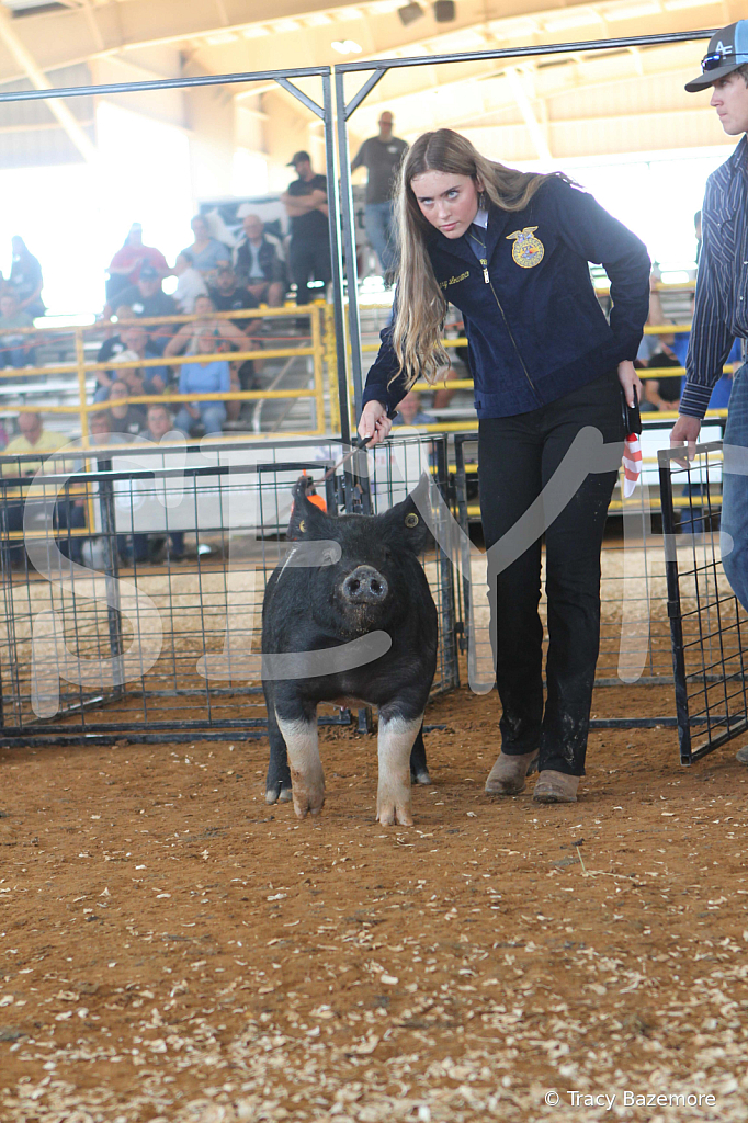 swine9442